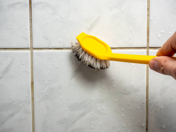 Best Mold Testing  in Midland, WA