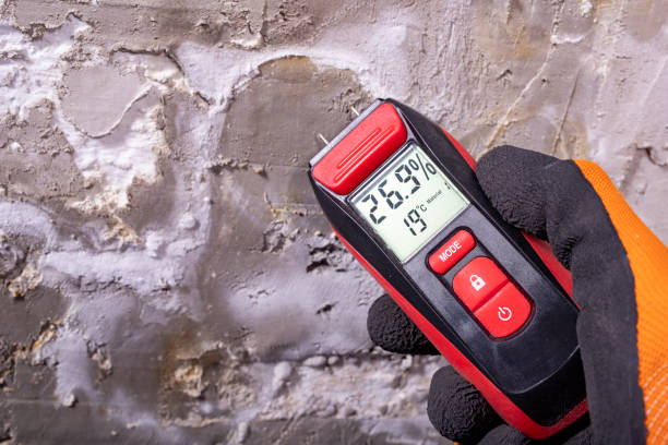 Crawl Space Mold Removal in Midland, WA
