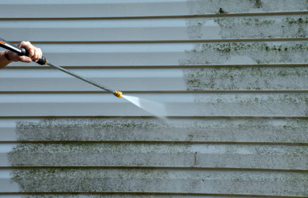 Best Home Mold Removal  in Midland, WA
