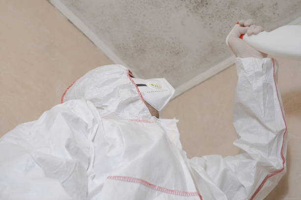 Best Affordable Mold Removal  in Midland, WA