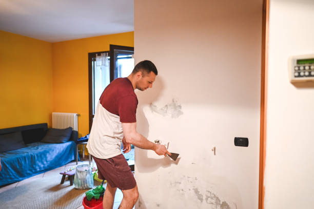 Office Mold Removal Services in Midland, WA