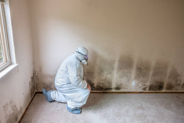 Best Crawl Space Mold Removal  in Midland, WA